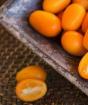 Kumquat: korisna svojstva, kontraindikacije, sadržaj kalorija