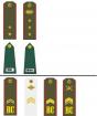 הדרגות הצבאיות הגבוהות ביותר בהיסטוריה של צבאות העולם דרגות צבאיות וסמלים של מדינות העולם